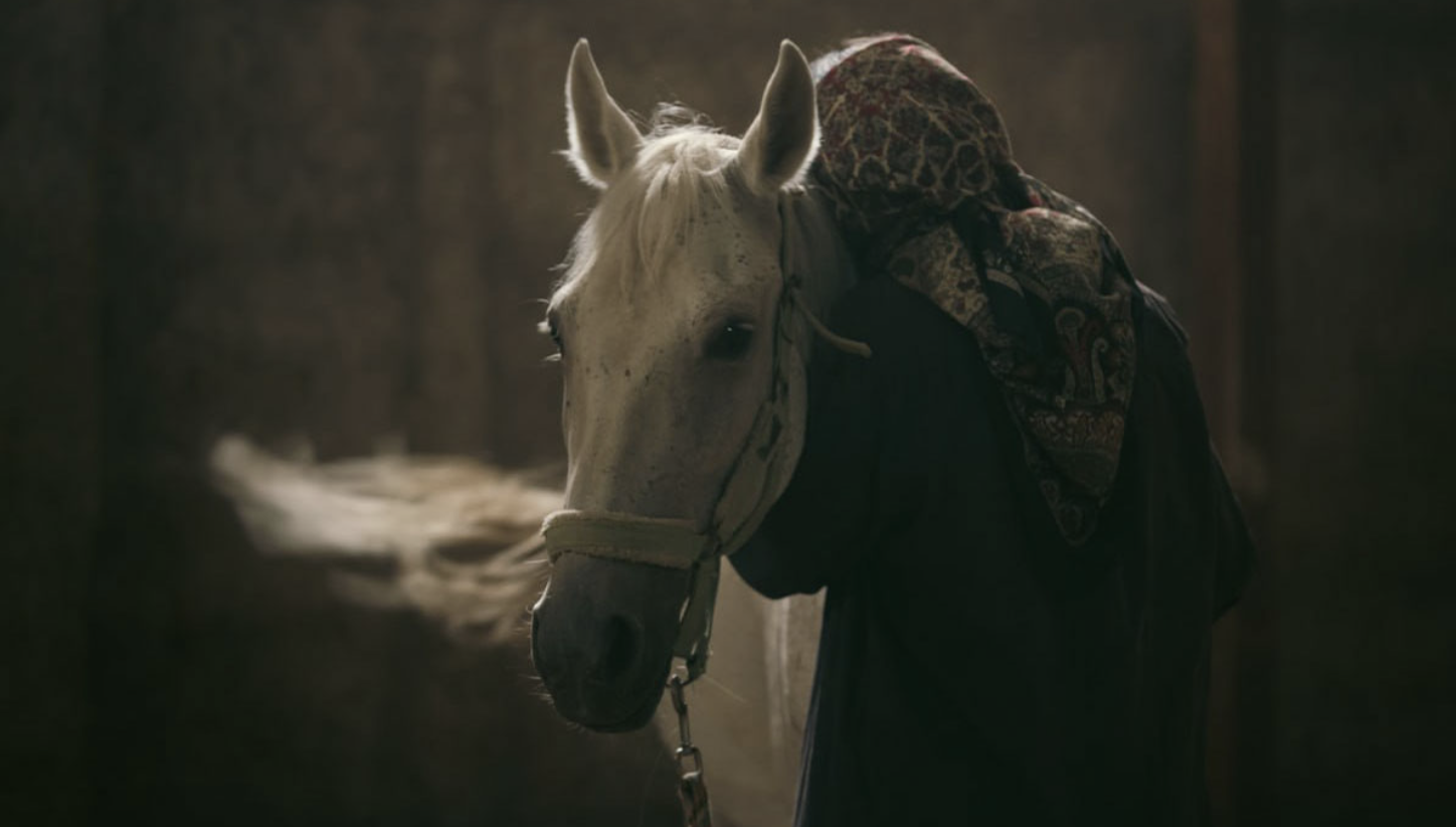 نمایی از فیلم